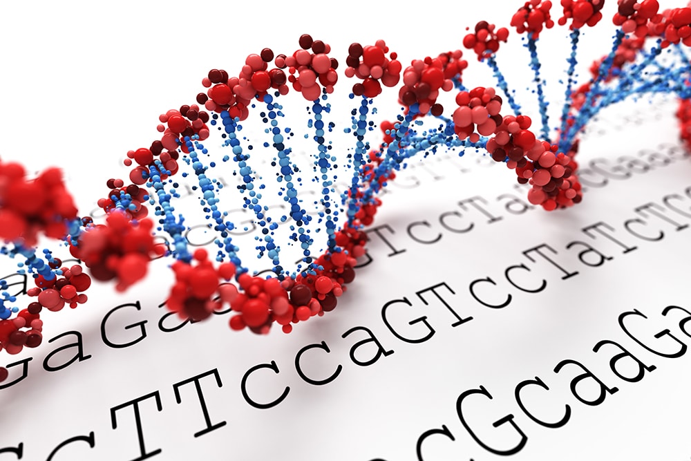 A DNA test kit and a report showing genetic insights related to athletic performance and fitness potential on a table.