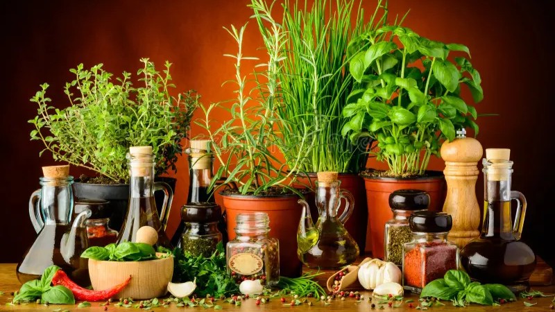 "An assortment of fresh herbs and colorful spices arranged in small bowls and bundles on a wooden table."